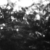 swathed_button